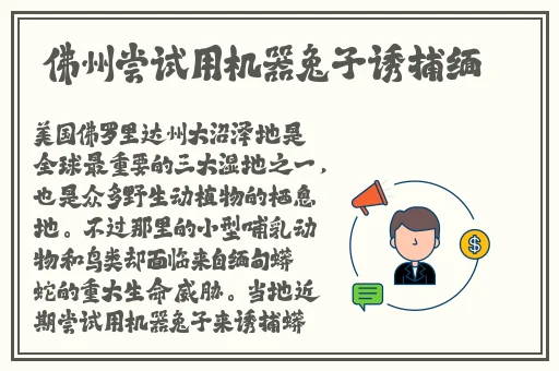 丰裕纵满杨玉环表